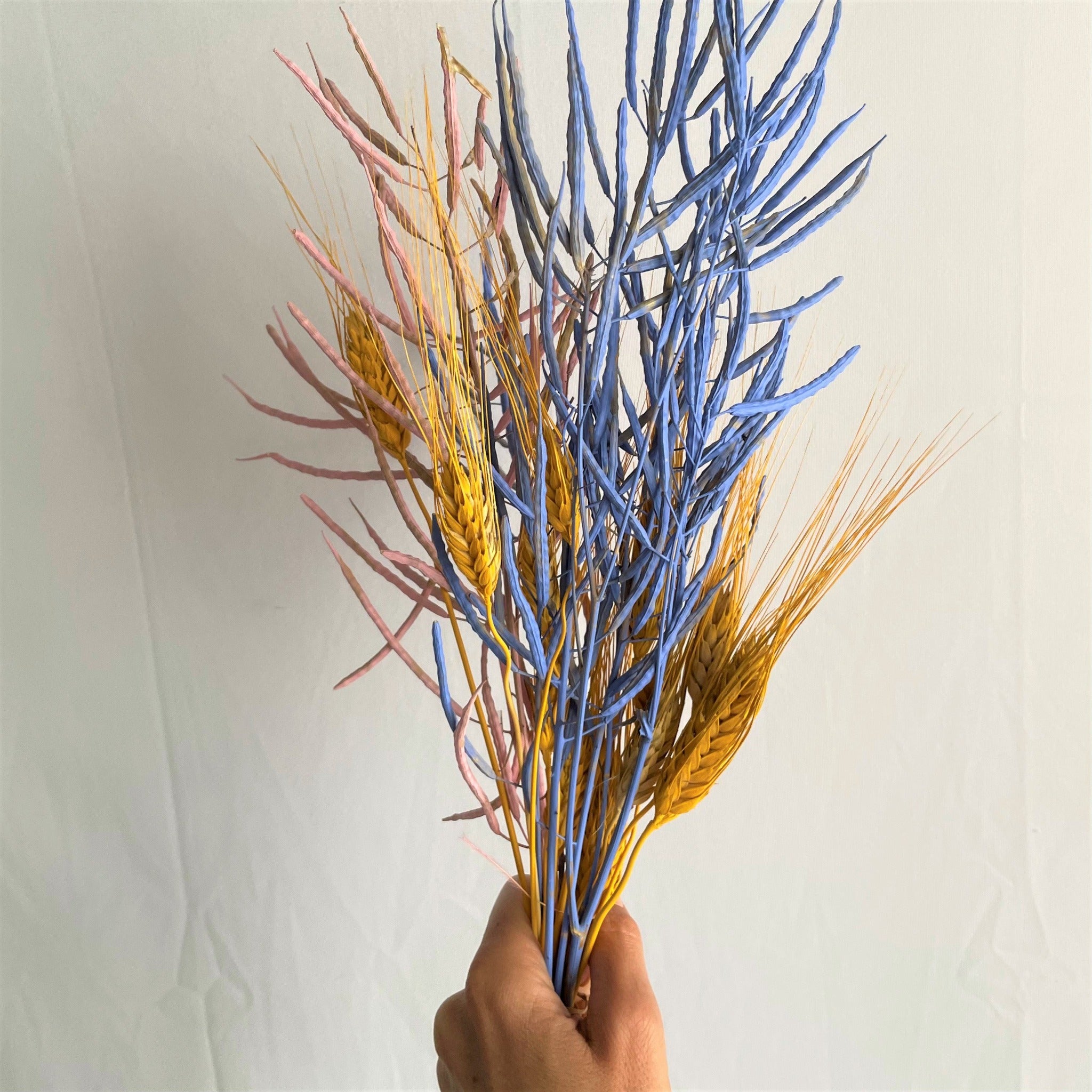 Mix di fiori secchi pop