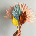 Palm leaves pop