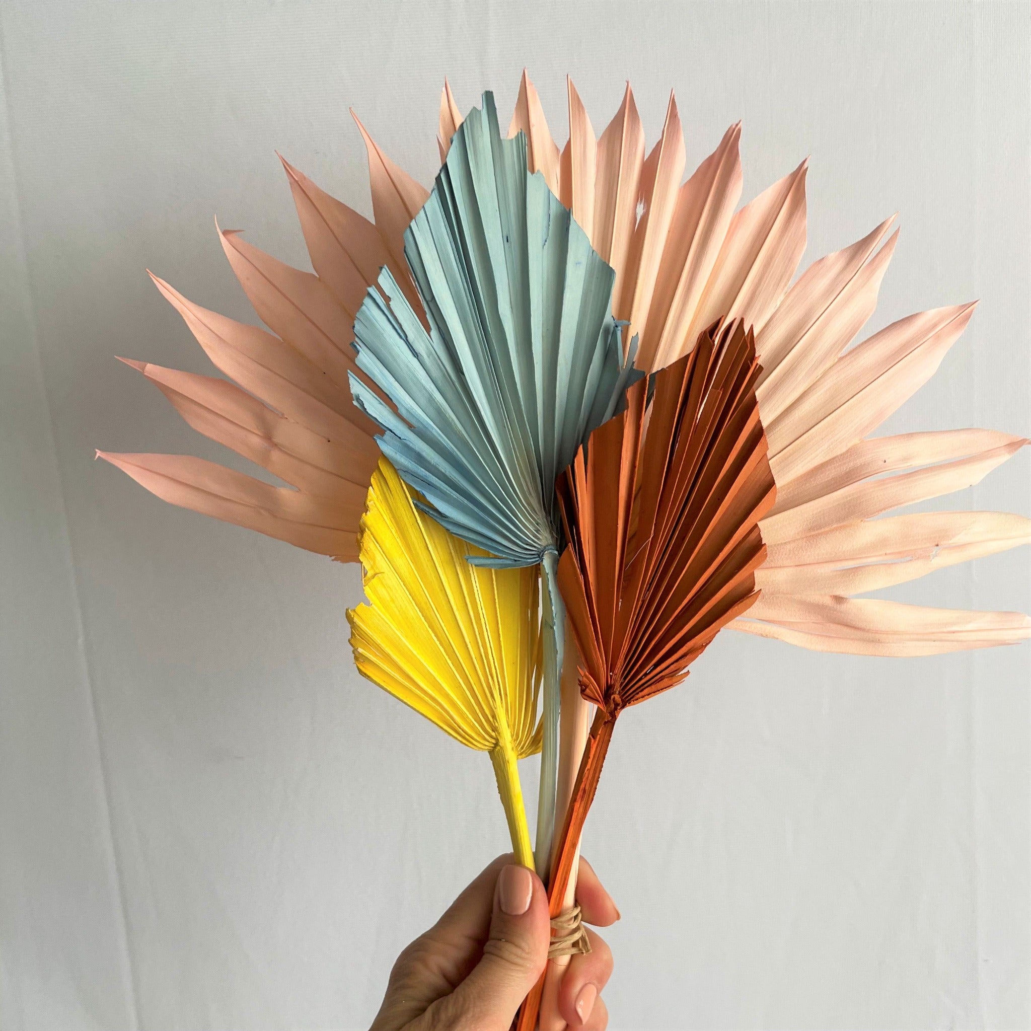 Palm leaves pop