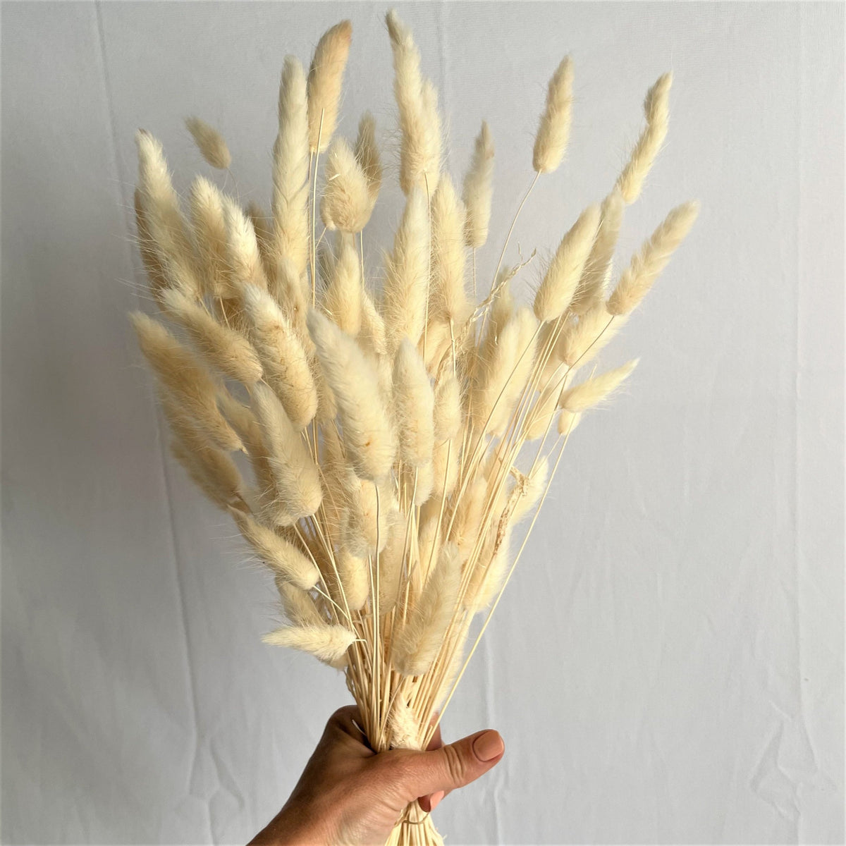 Bouquet Di Pampas Grass Essiccato - 160 Pezzi Decorativi Per Matrimoni Boho E Baby Shower - Foto 3