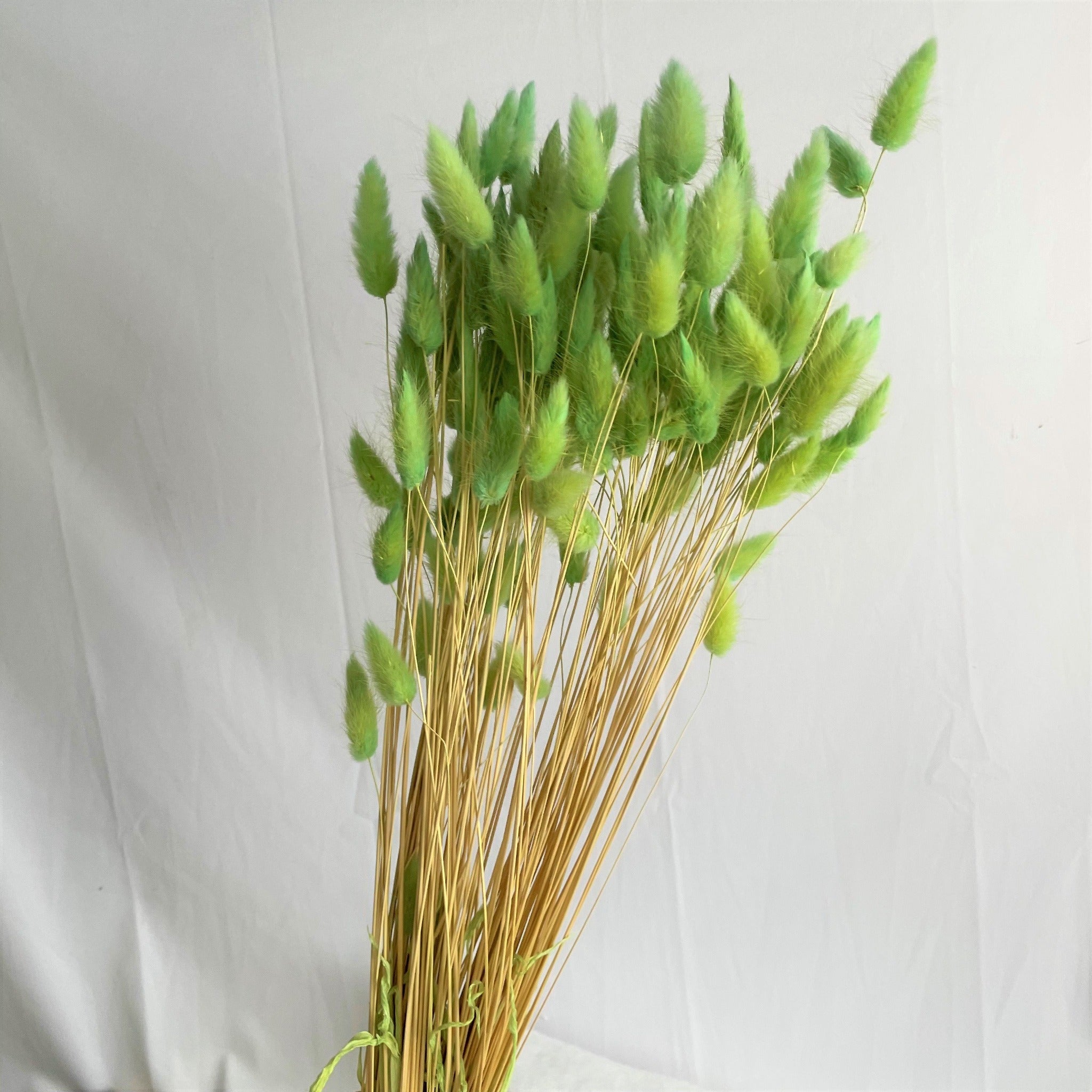 Bunny tails green